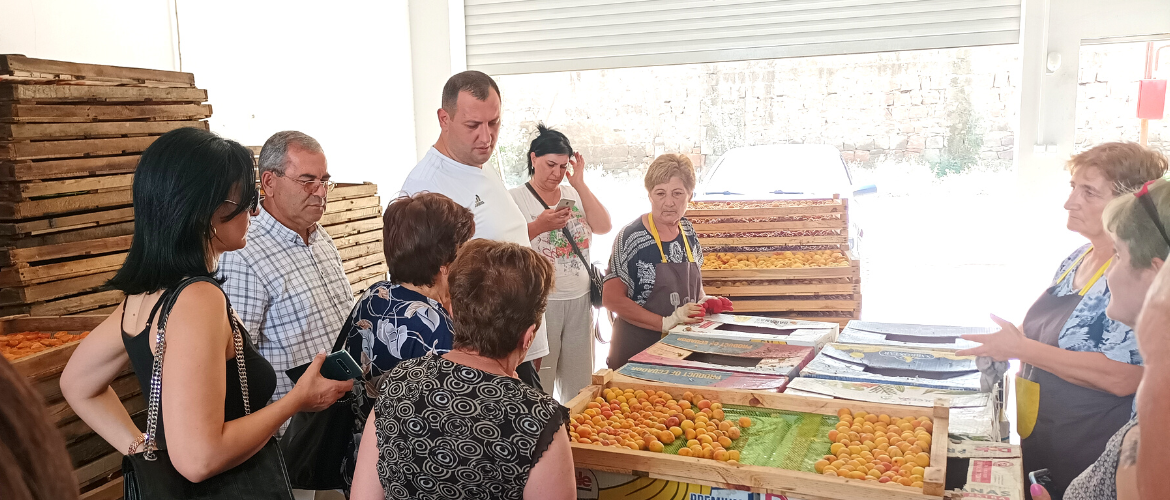 Mutual Visits in Armavir