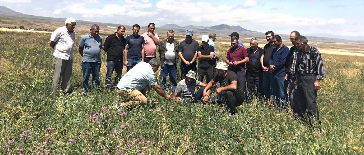 Visiting Gandzak experimental arable lands
