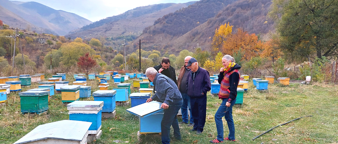 Bread for the World experts