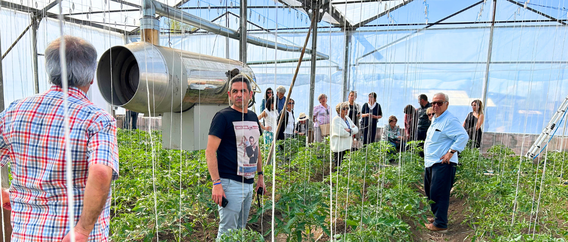 Chene France in Vardenis