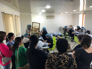 Exchange visit to Armavir