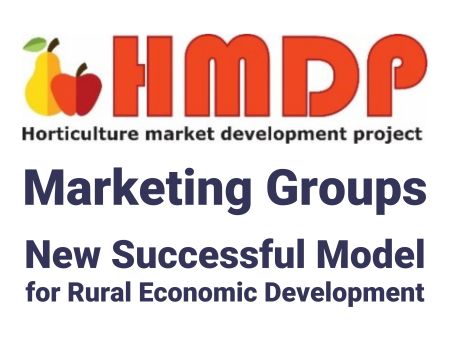 Marketing Groups