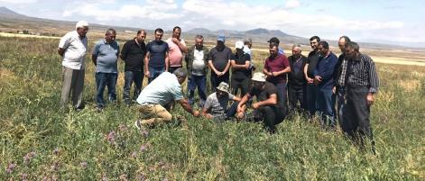 Visiting Gandzak experimental arable lands