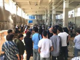 A Visit to the "Royal" Food Canning Factory