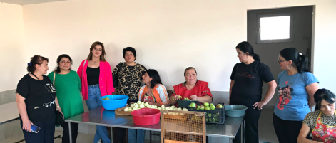 Exchange visit to Armavir