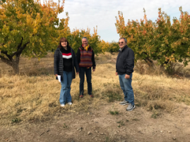 Bread for the World experts