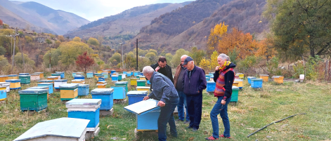 Bread for the World experts