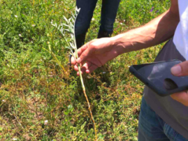 Balak Visit GIZ and EU4Sevan