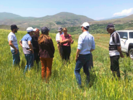 Balak Visit GIZ and EU4Sevan