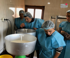 Bread for the World visit to Meghrashat
