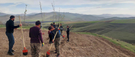 First Agroforestry in Shenavan