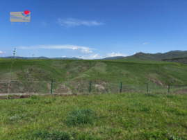 SDC Visit to Shenavan