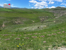 SDC Visit to Shenavan