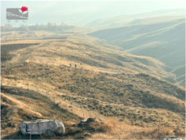 Shenavan Agroforestry