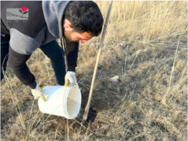Shenavan Agroforestry