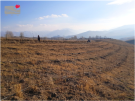 Shenavan Agroforestry