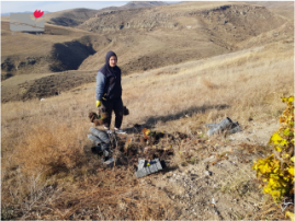 Shenavan Agroforestry