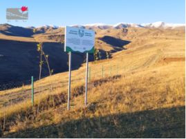 Shenavan Agroforestry Area