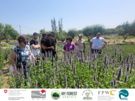 Lernavan Youth in Aragyugh