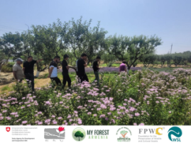 Lernavan Youth in Aragyugh