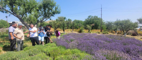 Lernavan Youth in Aragyugh