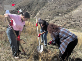 Students in Agroforest
