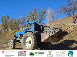 Establishment of Agroforest in Lernavan