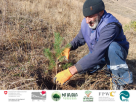 Establishment of Agroforest in Lernavan