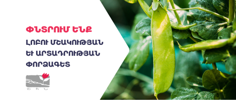 Լոբու մշակության և արտադրության փորձագետ