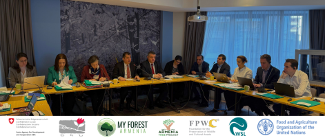 2nd Steering Committee