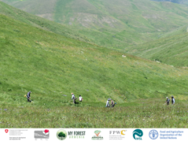 Towards More Inclusive and Sustainable Forest Restoration with Community Participation