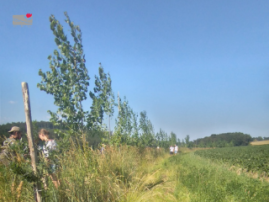 Agroforestry EURAF Conference 2026