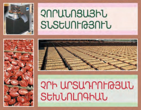 Չորանոցային տնտեսություն