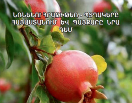 Նռնենու հրաթիթեռ