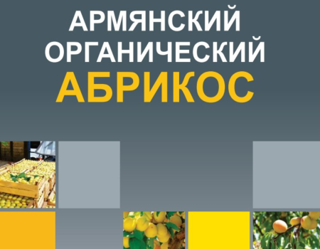 Armenian Organic Apricot